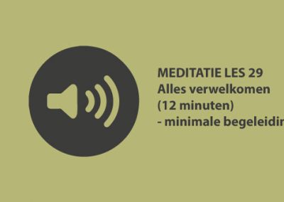 Meditatie les 29 – alles verwelkomen (12 minuten)