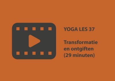Yoga les 37 – Transformatie en ontgiften (29 minuten)