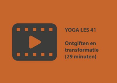 Yoga les 41 – ontgiften en transformatie (29 minuten)