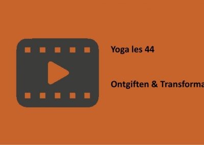 Yoga les 44 ontgiften & transformatie