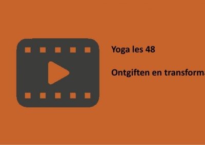 Yoga les 48 ontgiften en transformatie